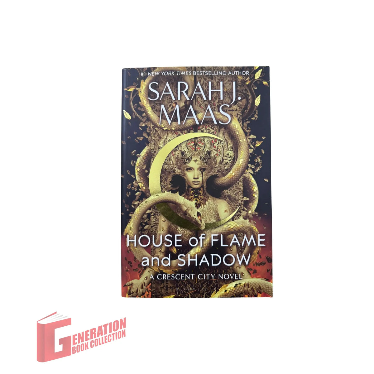 House of flame and shadow