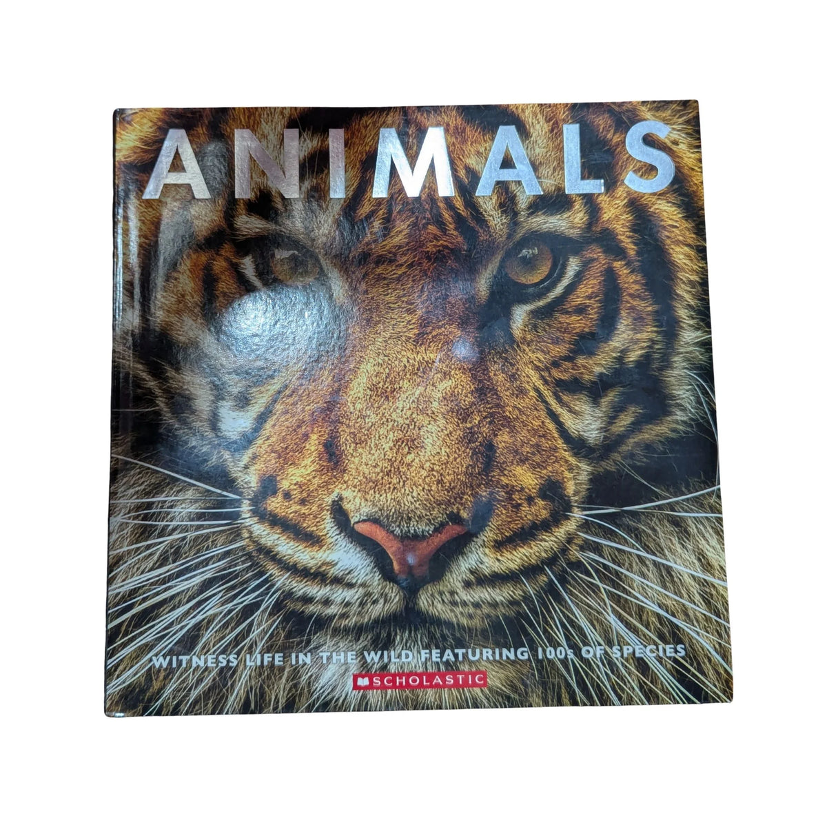 Animals