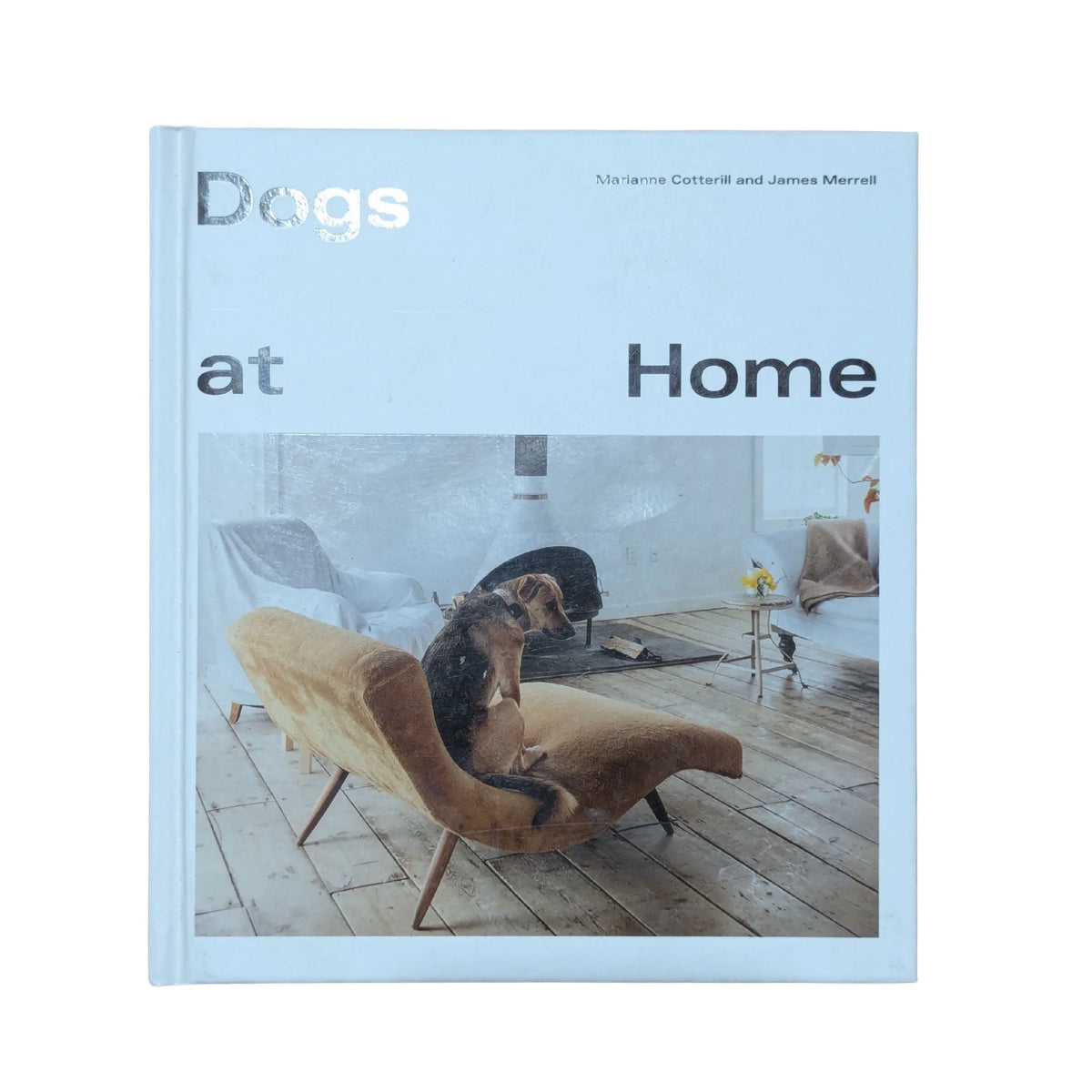 Dogs at home