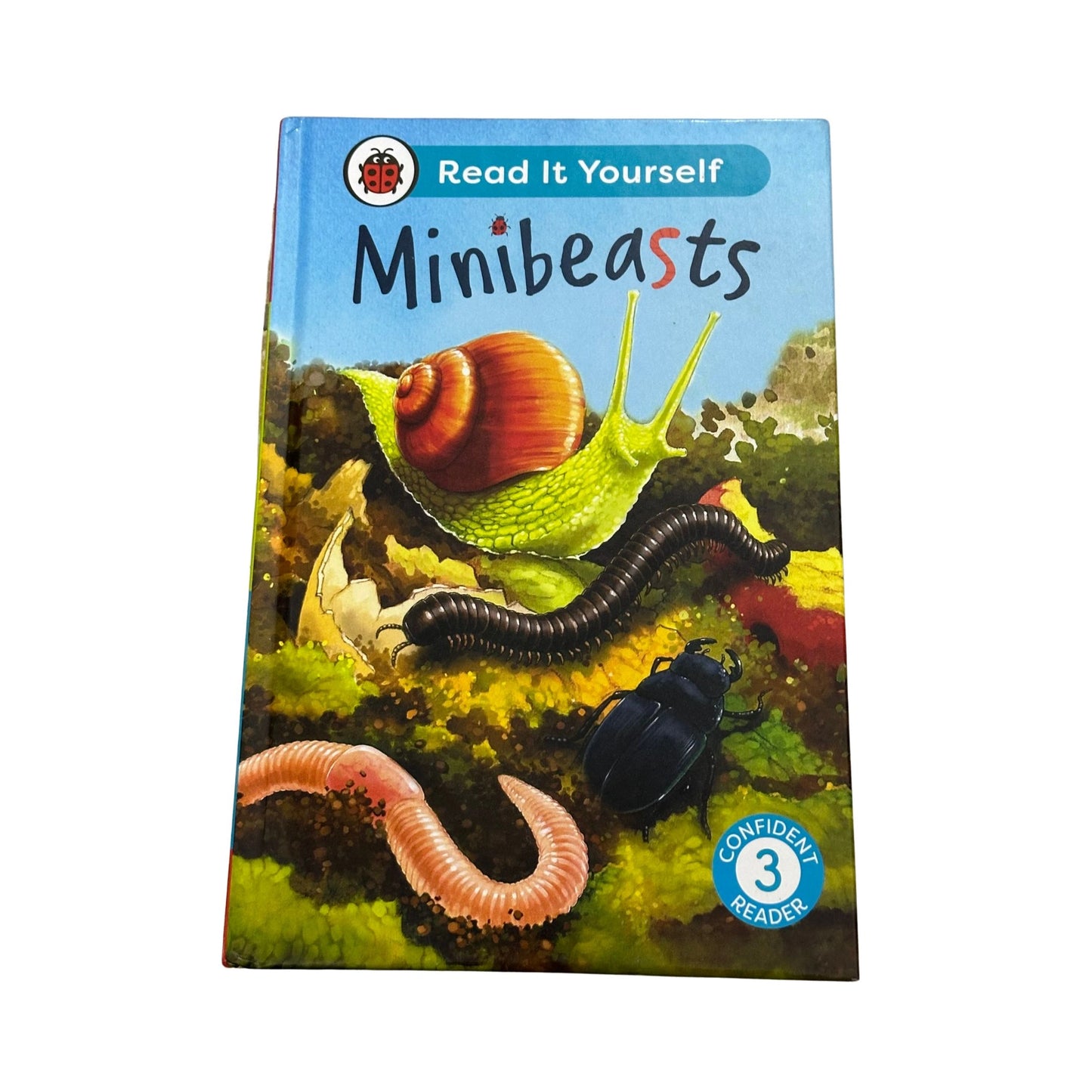 Minibeasts