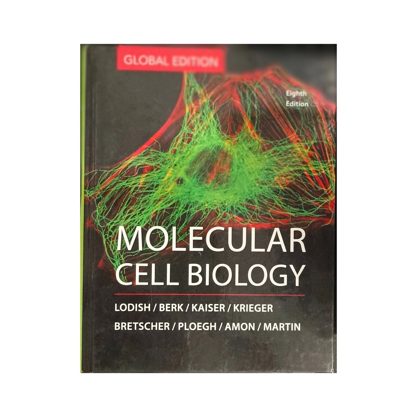 Molecular Cell Biology
