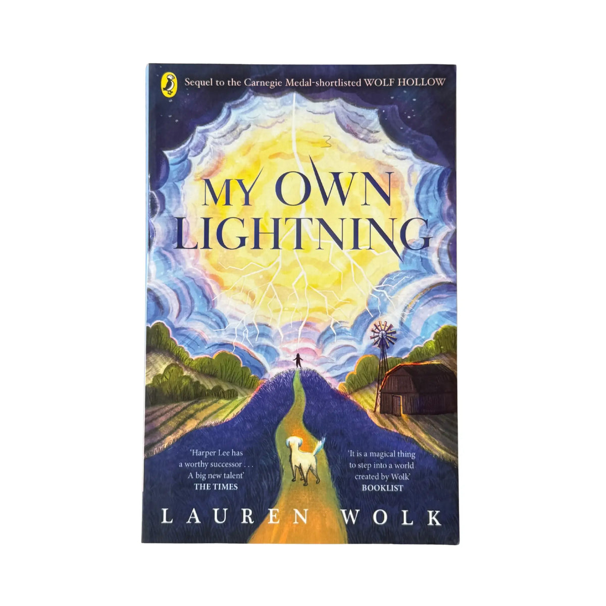 My Own Lightning