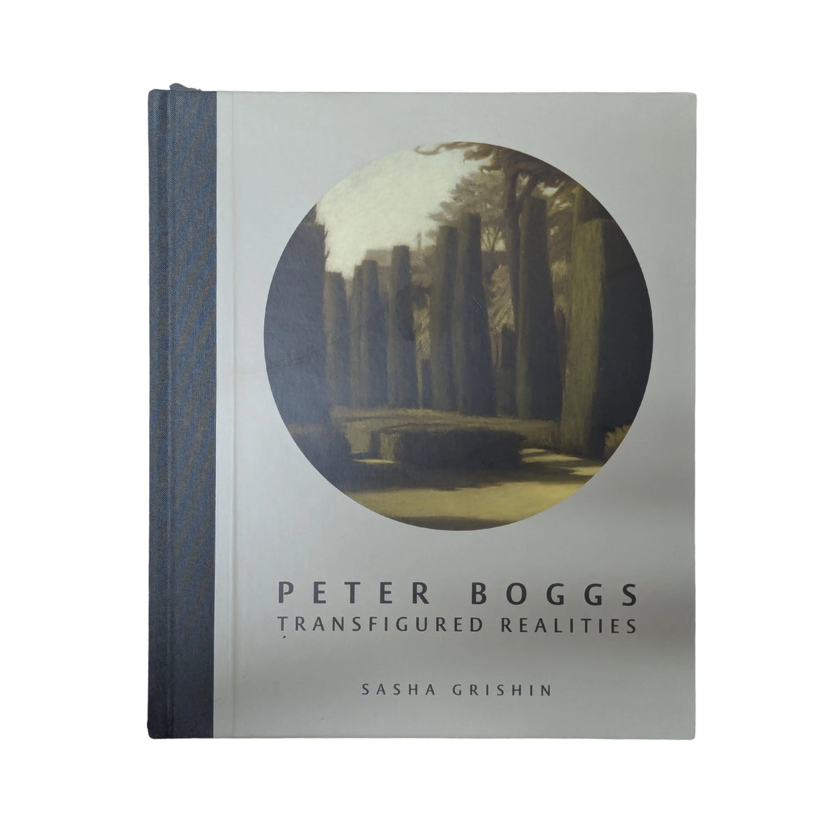 Peter Boggs Transfigured Realities