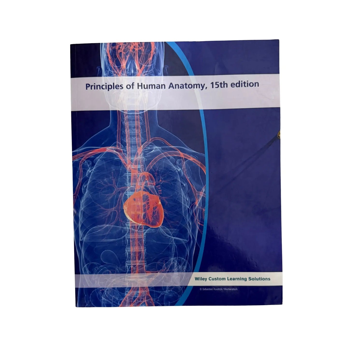 Principles of human anatomy 15th edition
