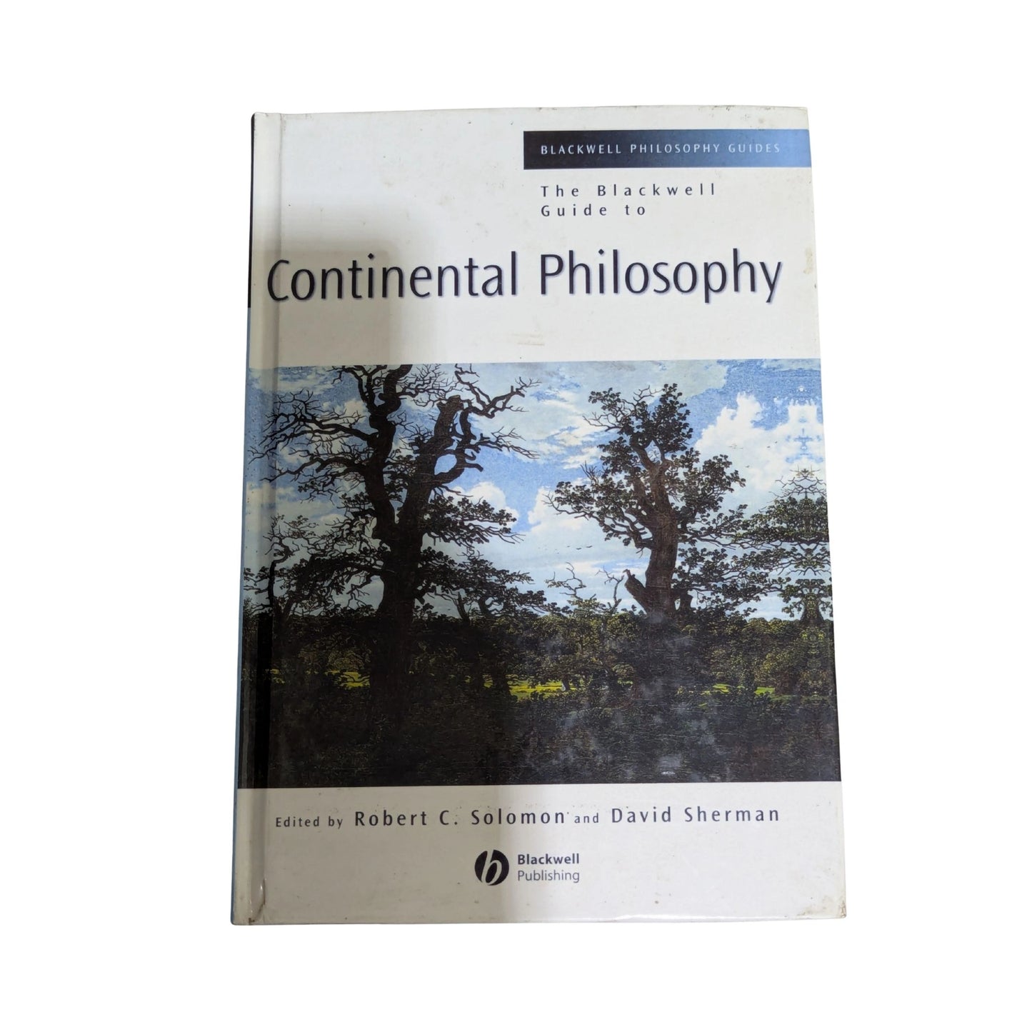 The Blackwell Guide to Continental Philosophy