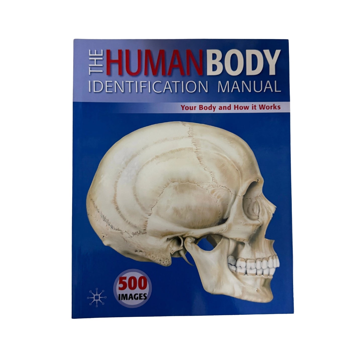 The Human Body Identification Manual Your Body and How It Works