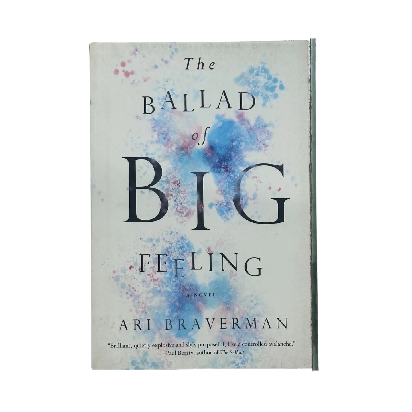 The Ballad of Big Feeling by Ari Braverman original book cover design