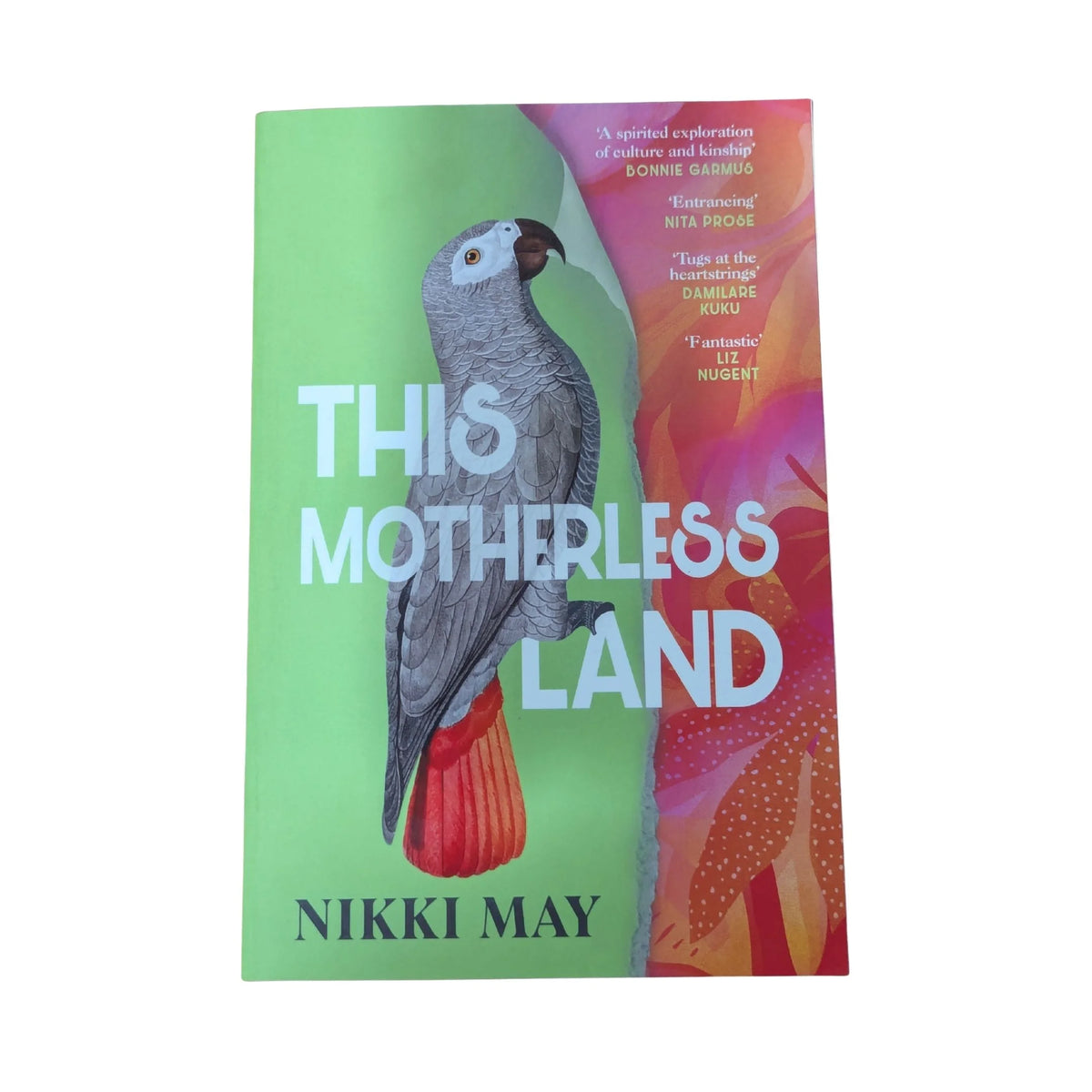 Cover of This Motherless Land by Nikki May