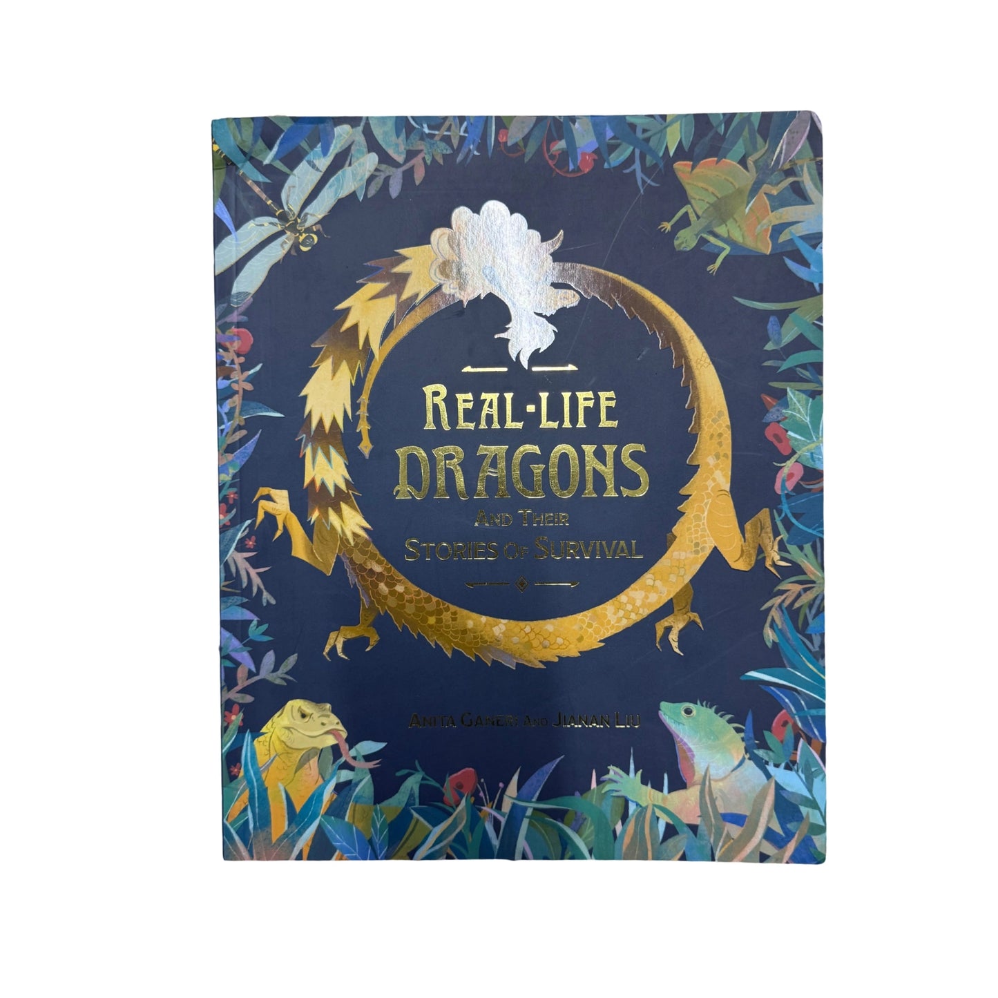 Real-Life Dragons and Their Stories of Survival