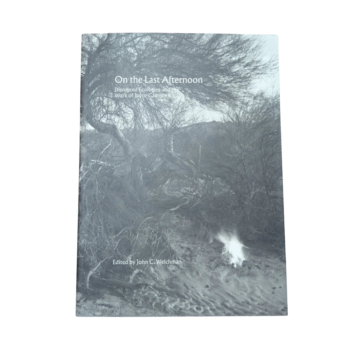 On the last afternoon: disrupted ecologies and the work of Joyce Campbell