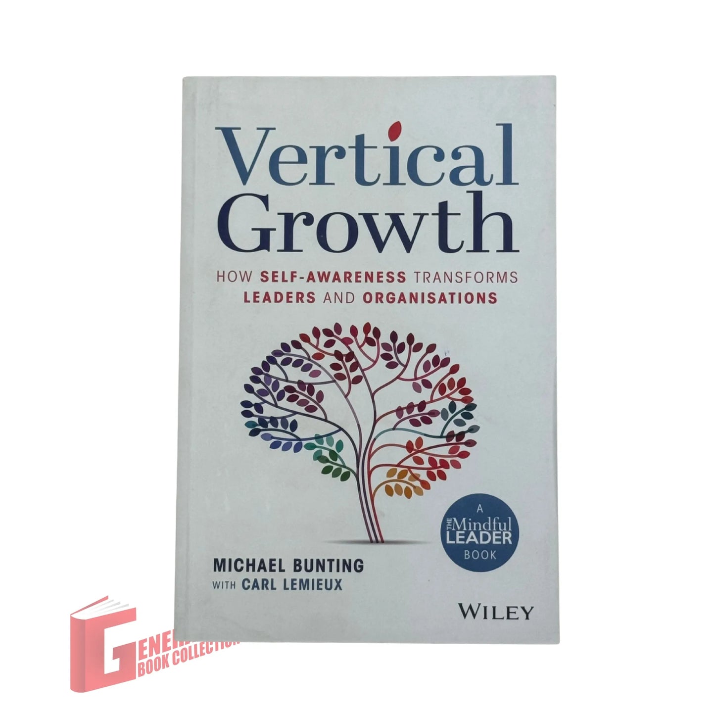 Vertical Growth: How Self-Awareness Transforms Leaders and Organisations
