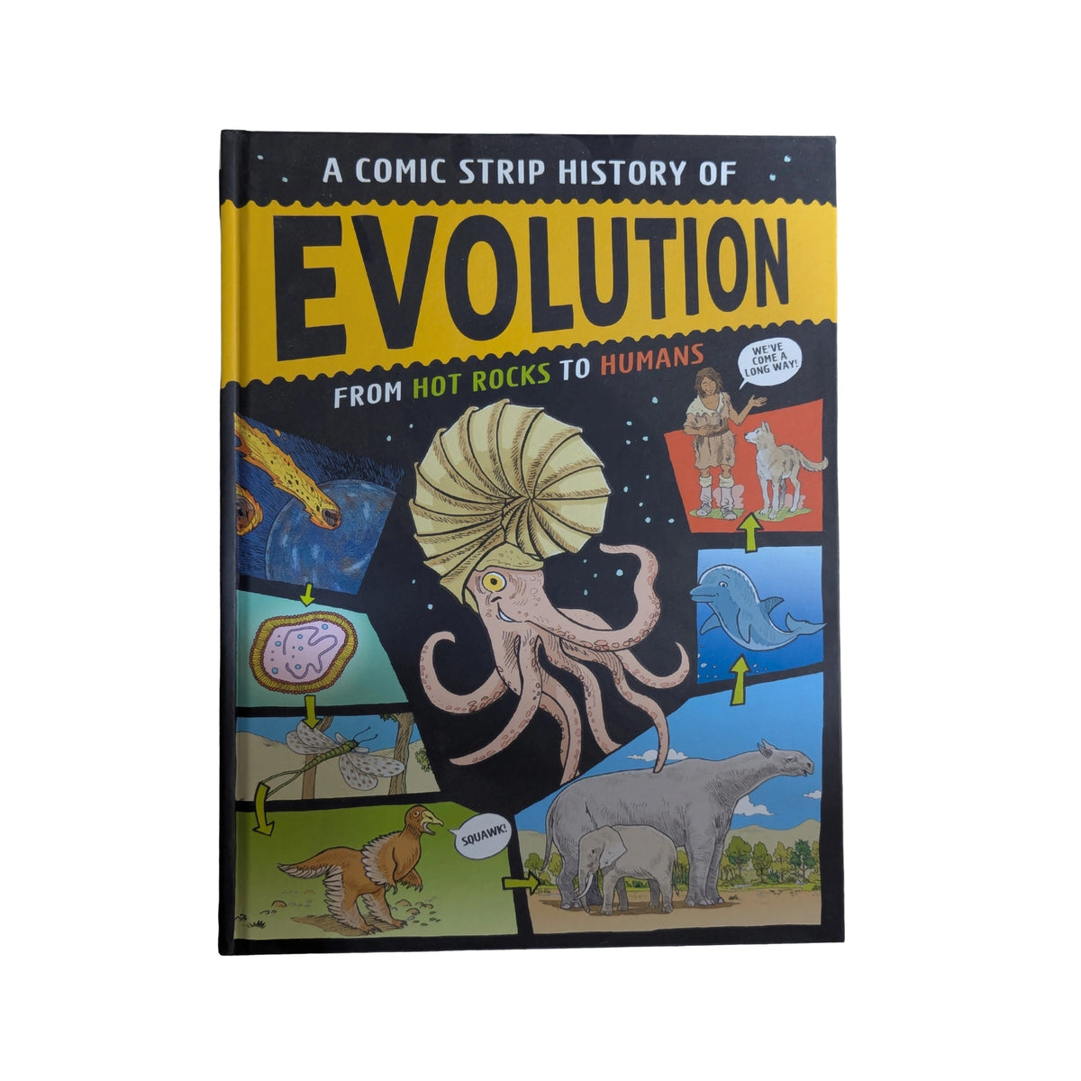 A Comic Strip History of Evolution From Hot Rocks to Humans