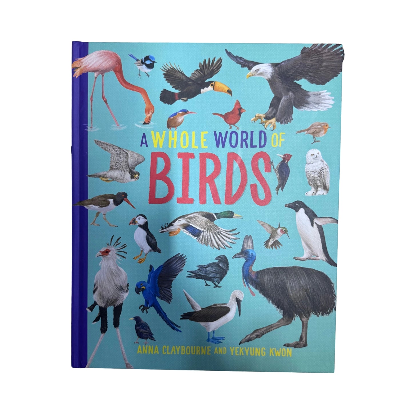 A Whole World Of Birds