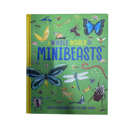 A Whole World Of Minibeasts