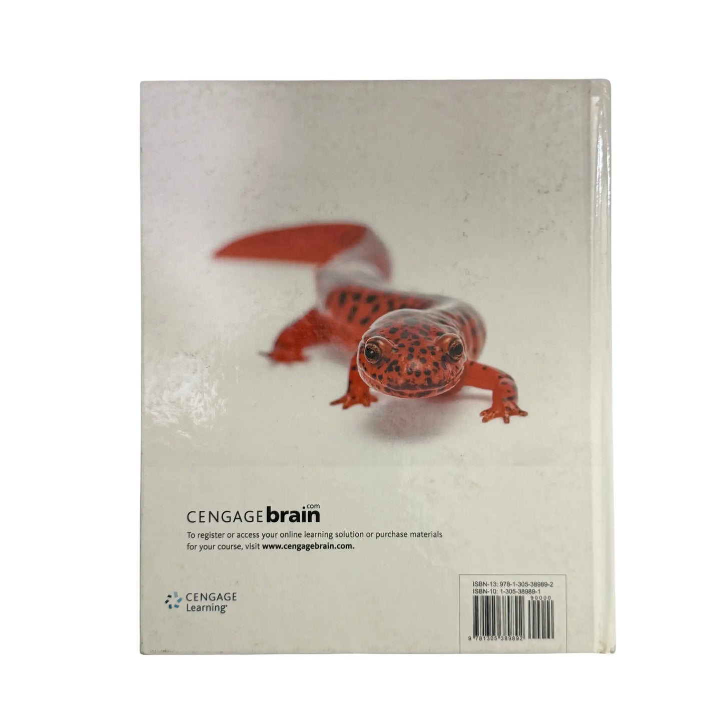 The back cover and synopsis of the original Biology: The Dynamic Science textbook.