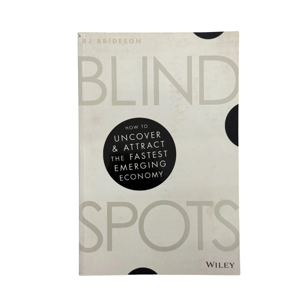Blind Spots by R. J. Brideson book cover with large BLIND SPOTS lettering