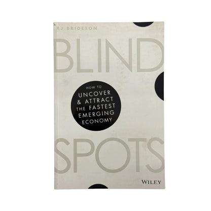 Blind Spots by R. J. Brideson book cover with large BLIND SPOTS lettering