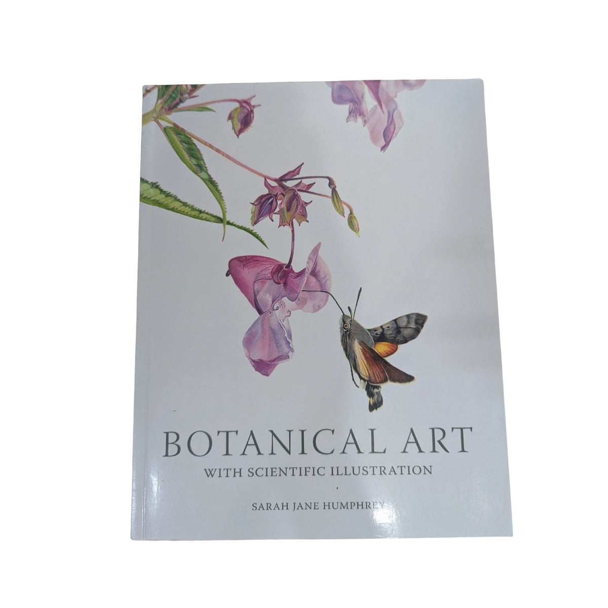 Botanical Art with Scientific Illustration
