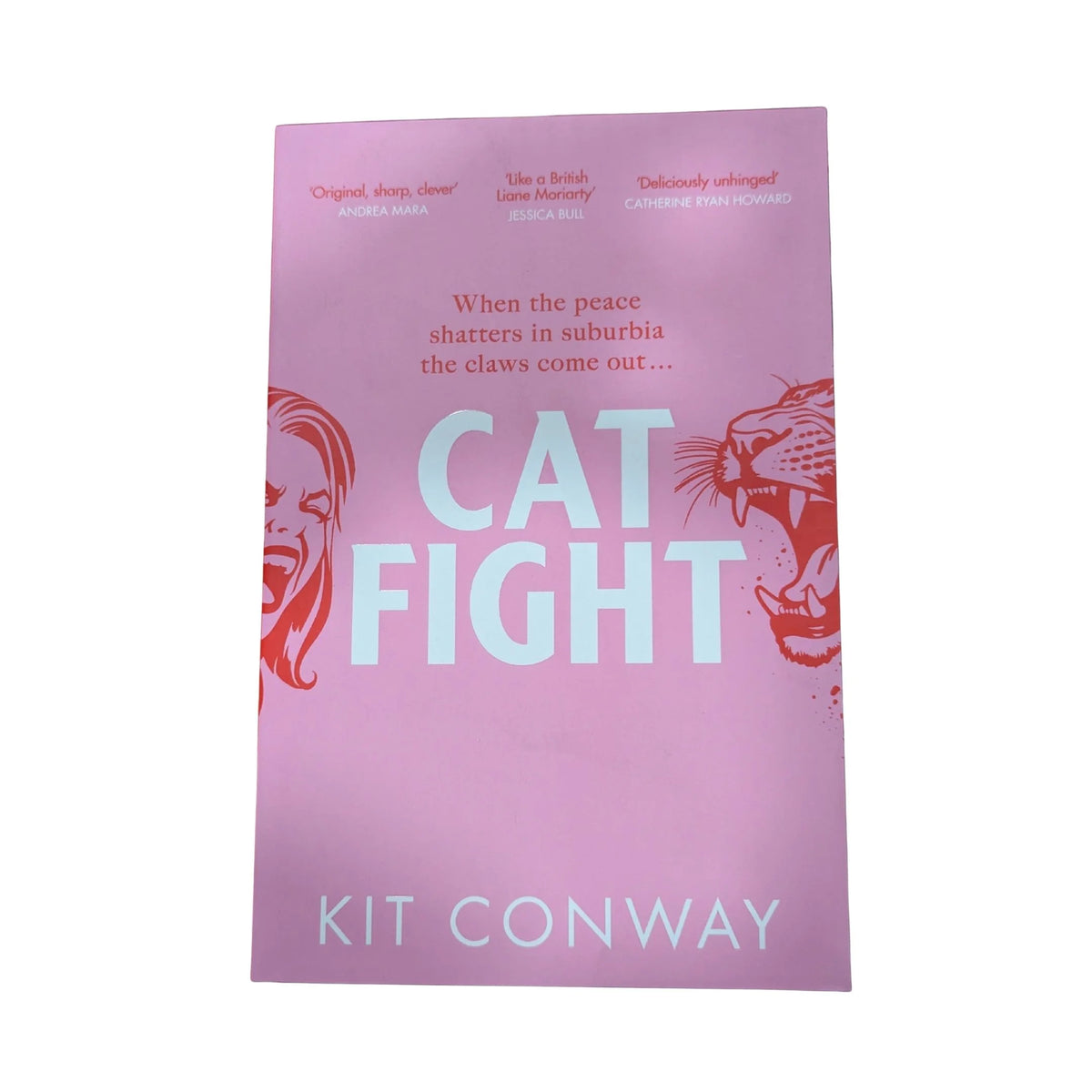 Cover of Cat Fight by Kit Conway