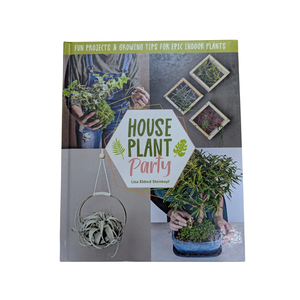 Houseplant Party Your guide to growing and decorating with epic indoor plants