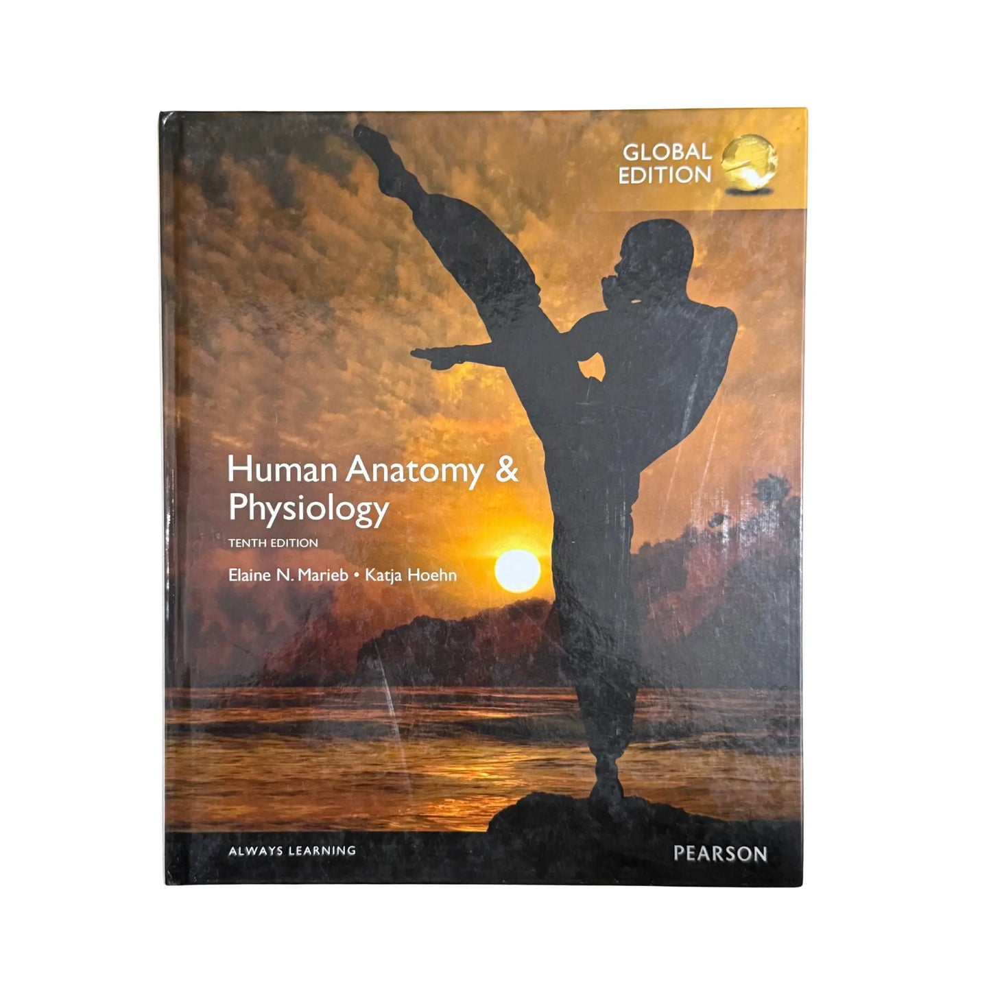 Human Anatomy & Physiology