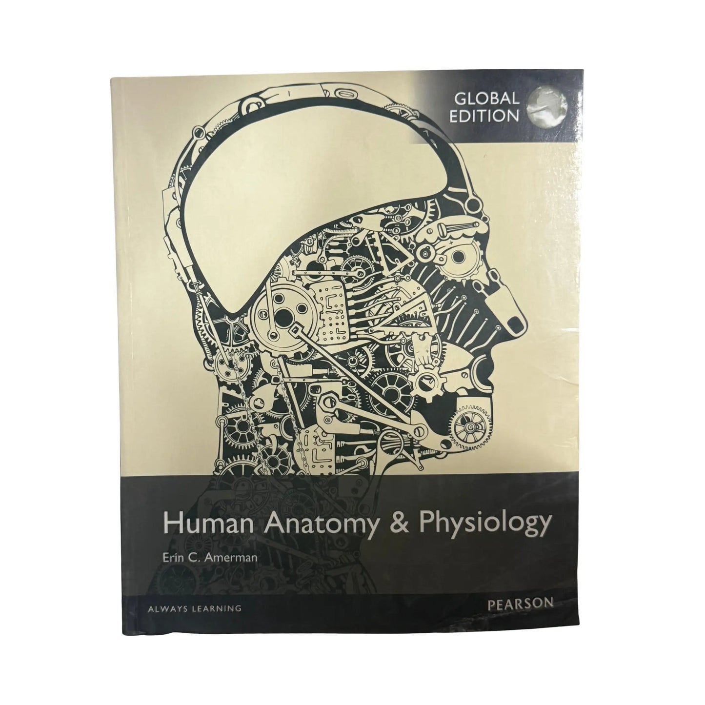 Human Anatomy and Physiology, Global Edition by Erin C. Amerman original textbook cover