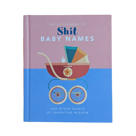 Little Book of Shit Baby Names