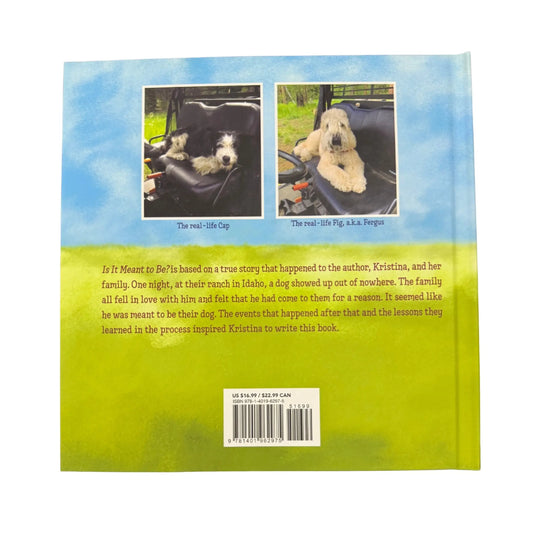 Is It Meant to Be? You Might Have to Wait and See