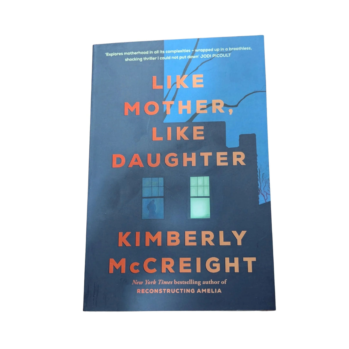 Front cover of Like Mother, Like Daughter by Kimberly McCreight, a psychological thriller published by Viking