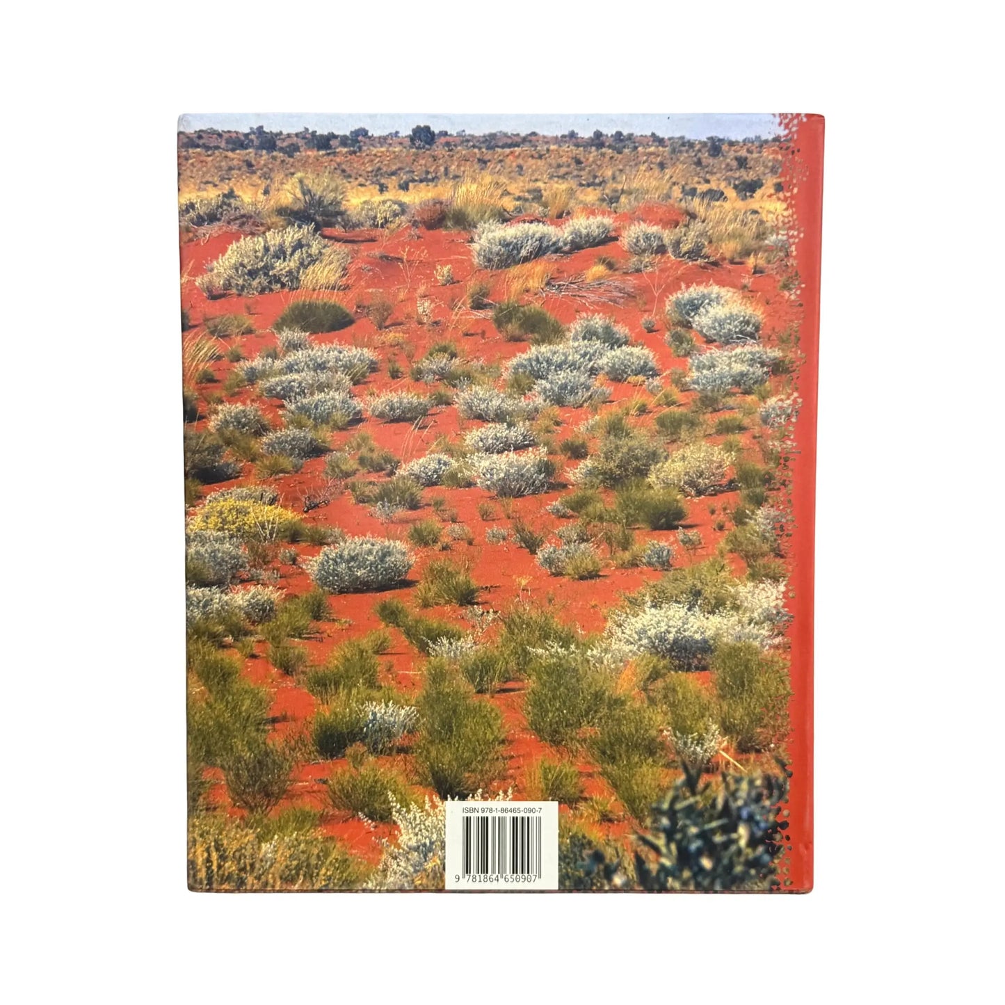 Lives of the Papunya Tula Artists