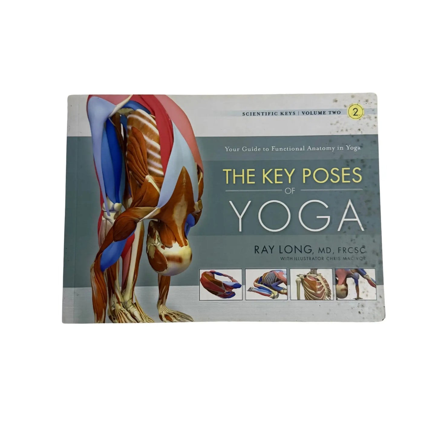 The Key Poses of Yoga