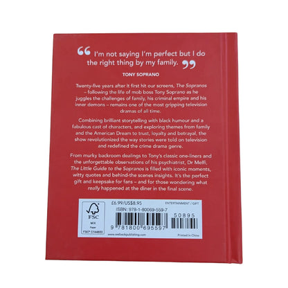 The back cover and synopsis of the original Bada Bing! book.
