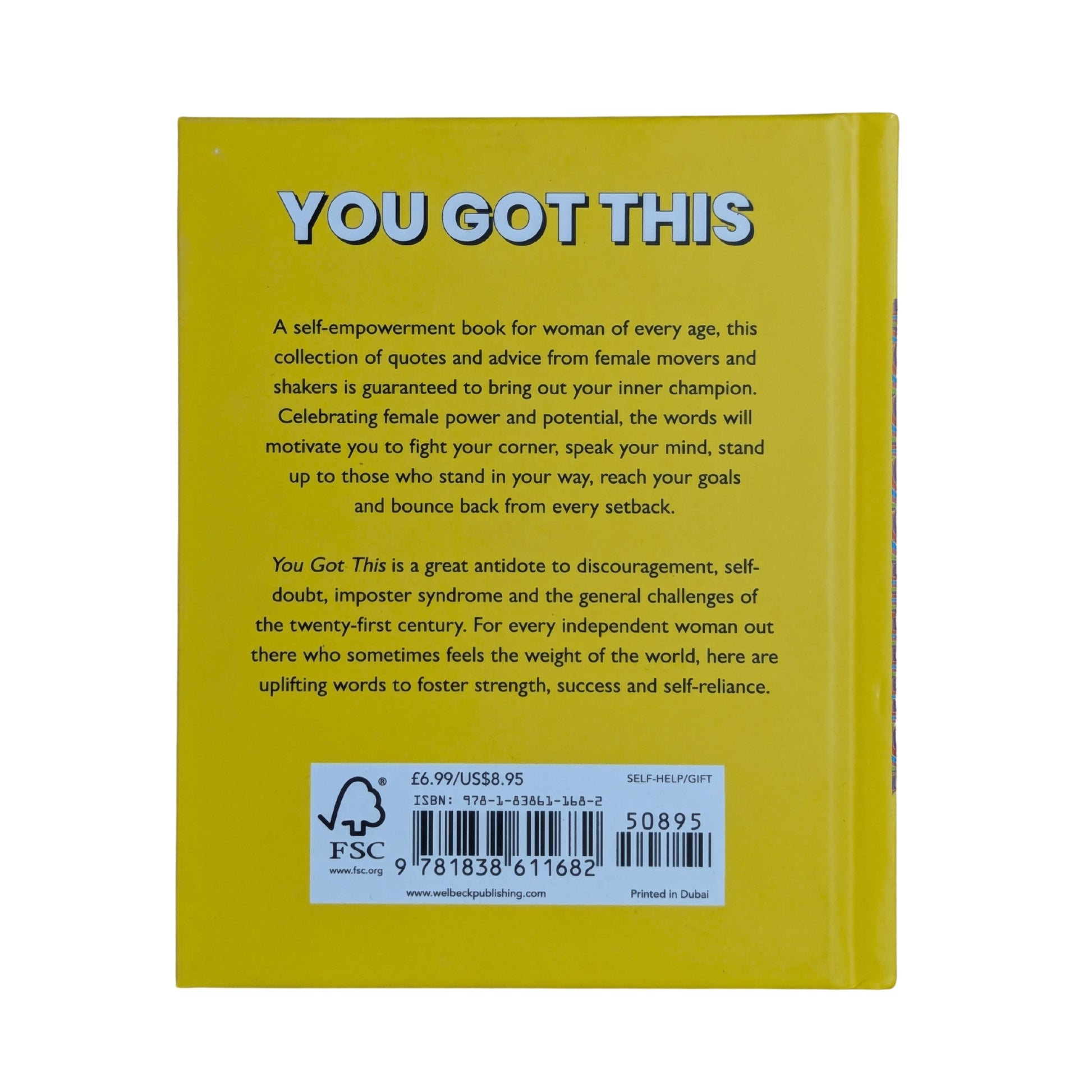 Back cover details of You Got This imported edition