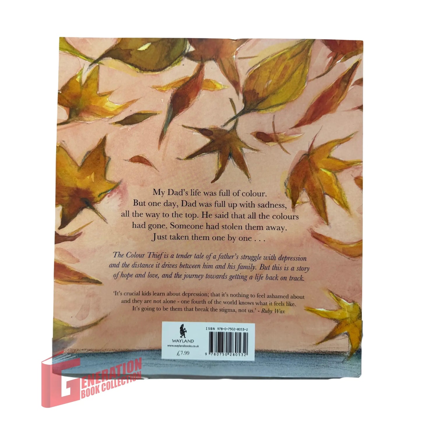 The Colour Thief: A family's story of depression